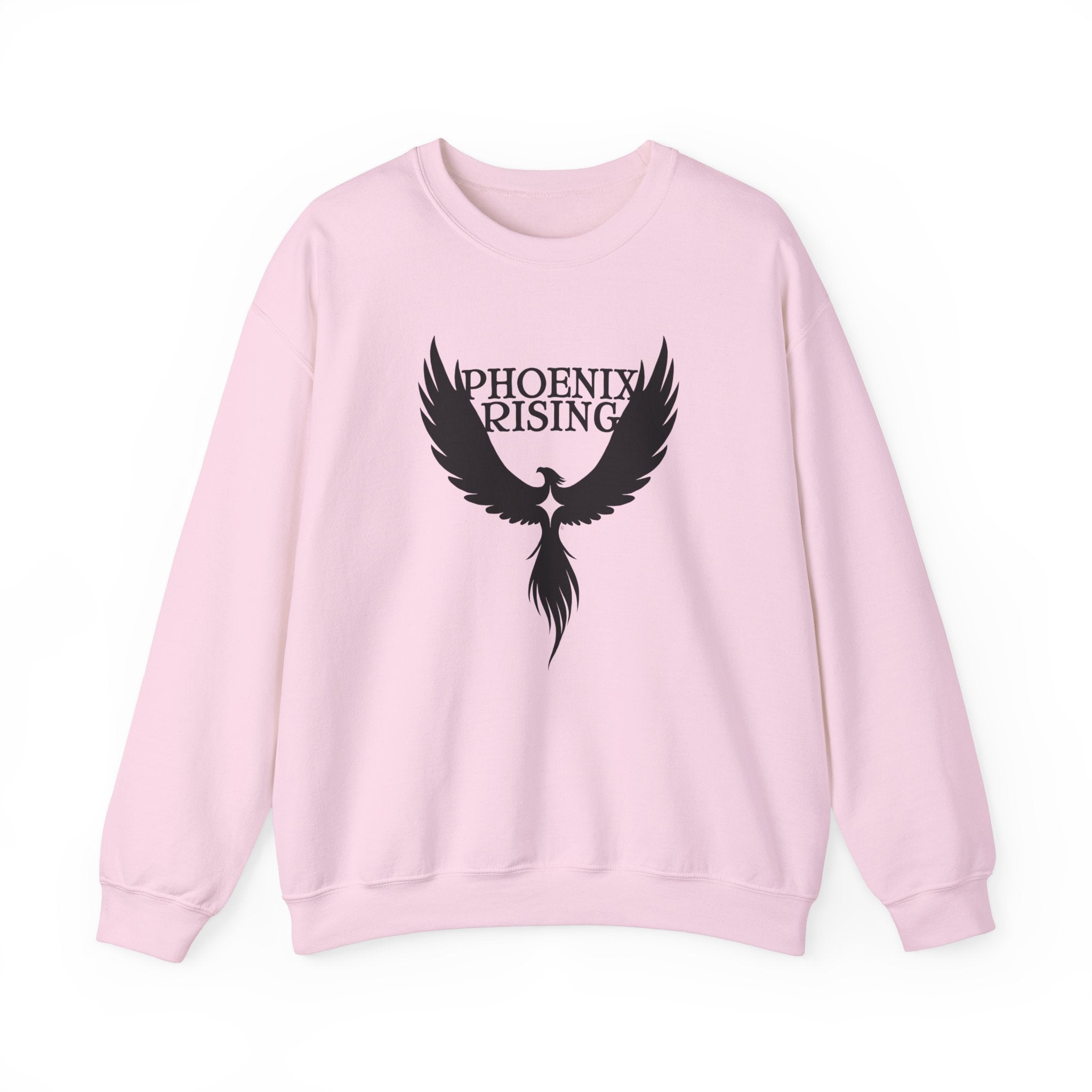 ★2024FW新作★ROMANTIC CROWN★SHINING EFFECT CREWNECK ROMANTIC CROWN JAPAN OFFICIAL | ・ 25 SPRING COLLECTION